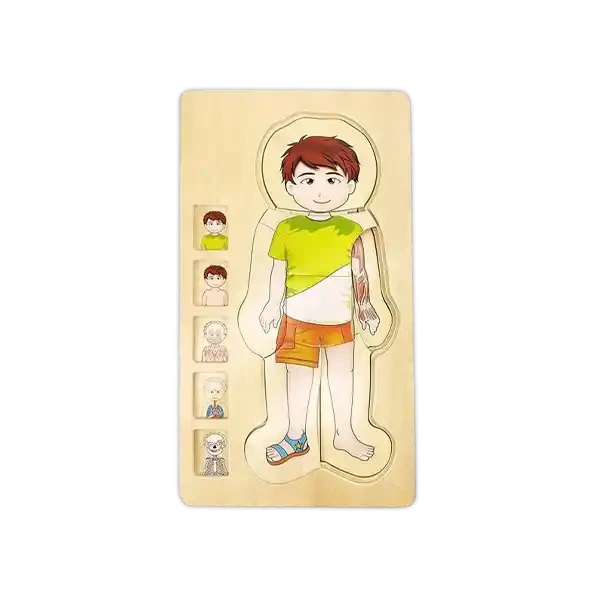 لعبة البازل- جسم الانسان